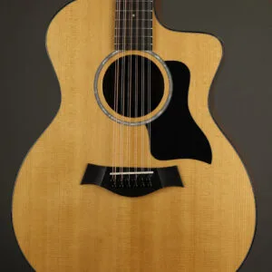 Taylor 254ce Plus 12-String Acoustic Electric Guitar – New