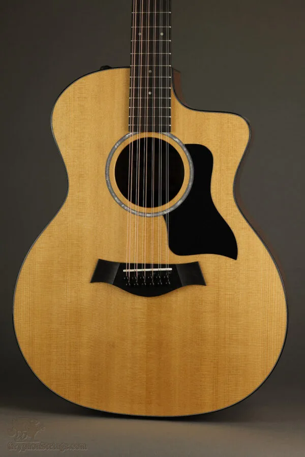 Taylor 254ce Plus 12-String Acoustic Electric Guitar – New