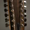 Taylor 254ce Plus 12-String Acoustic Electric Guitar – New