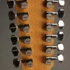 Taylor 254ce Plus 12-String Acoustic Electric Guitar – New