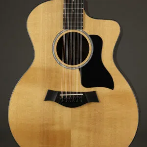 Taylor 254ce Plus Acoustic Electric 12-String Guitar – New
