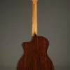 Taylor 254ce Plus Acoustic Electric 12-String Guitar – New