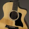 Taylor 254ce Plus Acoustic Electric 12-String Guitar – New