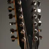 Taylor 254ce Plus Acoustic Electric 12-String Guitar – New