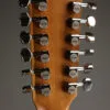 Taylor 254ce Plus Acoustic Electric 12-String Guitar – New