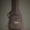 Taylor 254ce Plus Acoustic Electric 12-String Guitar – New