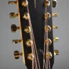 Taylor 260ce-K DLX Bajo Quinto 10-string – New