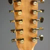 Taylor 260ce-K DLX Bajo Quinto 10-string – New