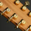 Taylor 260ce-K DLX Bajo Quinto 10-string – New