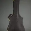 Taylor 260ce-K DLX Bajo Quinto 10-string – New