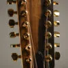 Taylor 264ce-K DLX Acoustic Electric 12-String Guitar – New
