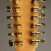 Taylor 264ce-K DLX Acoustic Electric 12-String Guitar – New