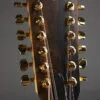 Taylor 264ce-K DLX Acoustic Electric 12-String Guitar – New