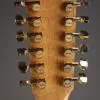 Taylor 264ce-K DLX Acoustic Electric 12-String Guitar – New