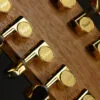 Taylor 264ce-K DLX Acoustic Electric 12-String Guitar – New