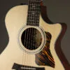 Taylor 312ce Acoustic Electric Guitar – New