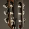 Taylor 312ce-N Acoustic Electric Nylon String Guitar – New