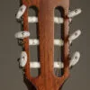 Taylor 312ce-N Acoustic Electric Nylon String Guitar – New
