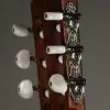 Taylor 312ce-N Nylon String Acoustic Electric Guitar New