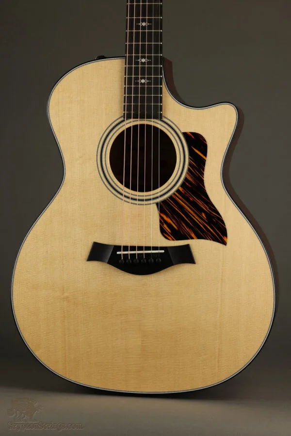 Taylor 314ce Acoustic Electric Guitar – New