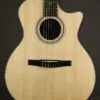 Taylor 314ce-N Acoustic Electric Nylon String Guitar – New
