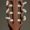 Taylor 314ce-N Acoustic Electric Nylon String Guitar – New