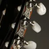 Taylor 314ce-N Acoustic Electric Nylon String Guitar – New