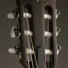 Taylor 314ce-N Acoustic Electric Nylon String Guitar – New