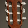 Taylor 314ce-N Acoustic Electric Nylon String Guitar – New