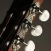 Taylor 314ce-N Acoustic Electric Nylon String Guitar – New