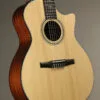 Taylor 314ce-N Acoustic Electric Nylon String Guitar – New