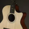 Taylor 314ce-N Acoustic Electric Nylon String Guitar – New