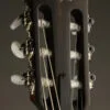 Taylor 314ce-N Acoustic Electric Nylon String Guitar – New