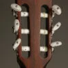 Taylor 314ce-N Acoustic Electric Nylon String Guitar – New