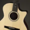 Taylor 314ce-N Acoustic Electric Nylon String Guitar – New