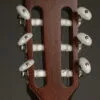Taylor 314ce-N Acoustic Electric Nylon String Guitar – New