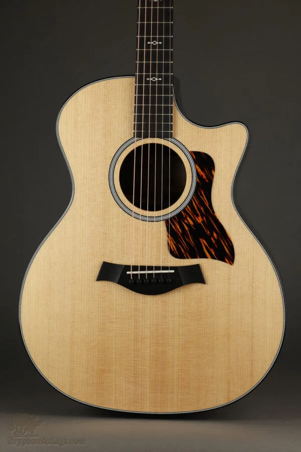 Taylor 414ce Next-Gen Acoustic Electric Guitars – New