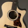 Taylor 414ce Next-Gen Acoustic Electric Guitars – New
