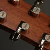 Taylor 414ce Next-Gen Acoustic Electric Guitars – New