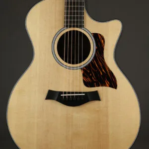 Taylor 414ce Next-Gen Acoustic Electric Guitars – New