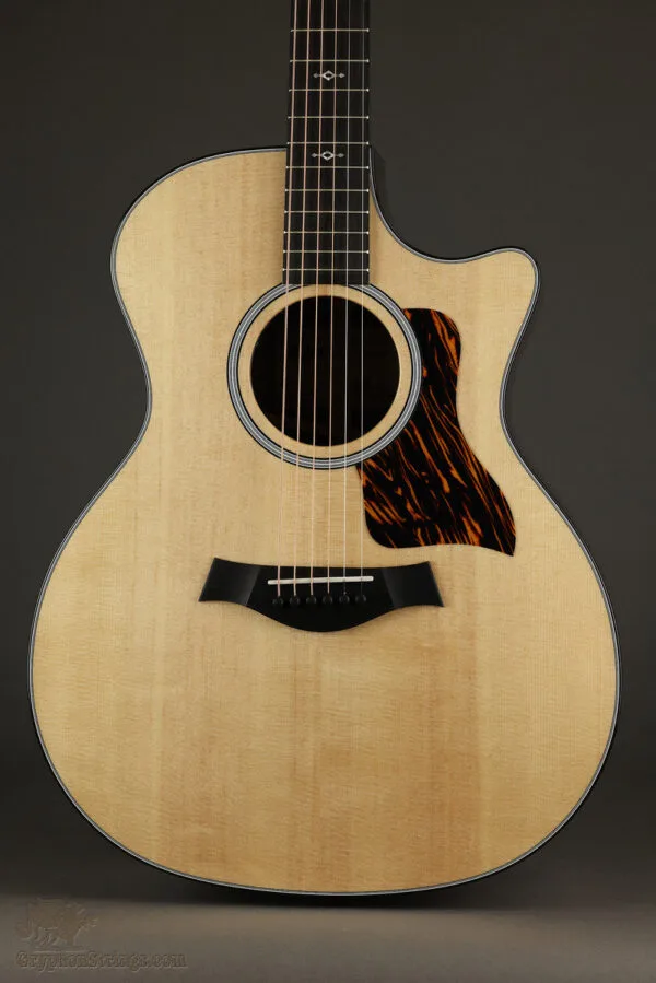 Taylor 414ce Next-Gen Acoustic Electric Guitars – New