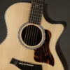 Taylor 414ce Next-Gen Acoustic Electric Guitars – New