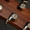Taylor 414ce Next-Gen Acoustic Electric Guitars – New