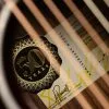 Taylor 50th Anniversary 217-e SB Plus LTD Acoustic Electric Guitar – New