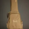 Taylor 50th Anniversary GS Mini-e Rosewood Natural Top LTD Acoustic Electric Guitar – New