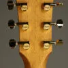 Taylor 50th Anniversary GS Mini-e Rosewood SB LTD Acoustic Electric Guitar – New