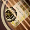 Taylor 50th Anniversary GS Mini-e Rosewood SB LTD Acoustic Electric Guitar – New