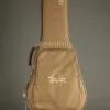 Taylor 50th Anniversary GS Mini-e Rosewood SB LTD Acoustic Electric Guitar – New
