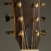 Taylor 50th Anniversary GS Mini-e Rosewood SB LTD Acoustic Electric Guitar – New