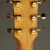 Taylor 50th Anniversary GS Mini-e Rosewood SB LTD Acoustic Electric Guitar – New